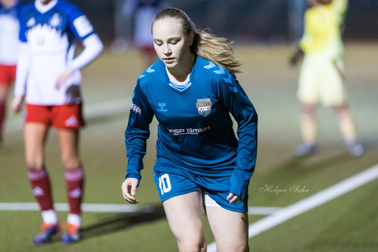 Bild 178 - F SC Alstertal-Langenhorn - Hamburger SV 3 : Ergebnis: 2:2